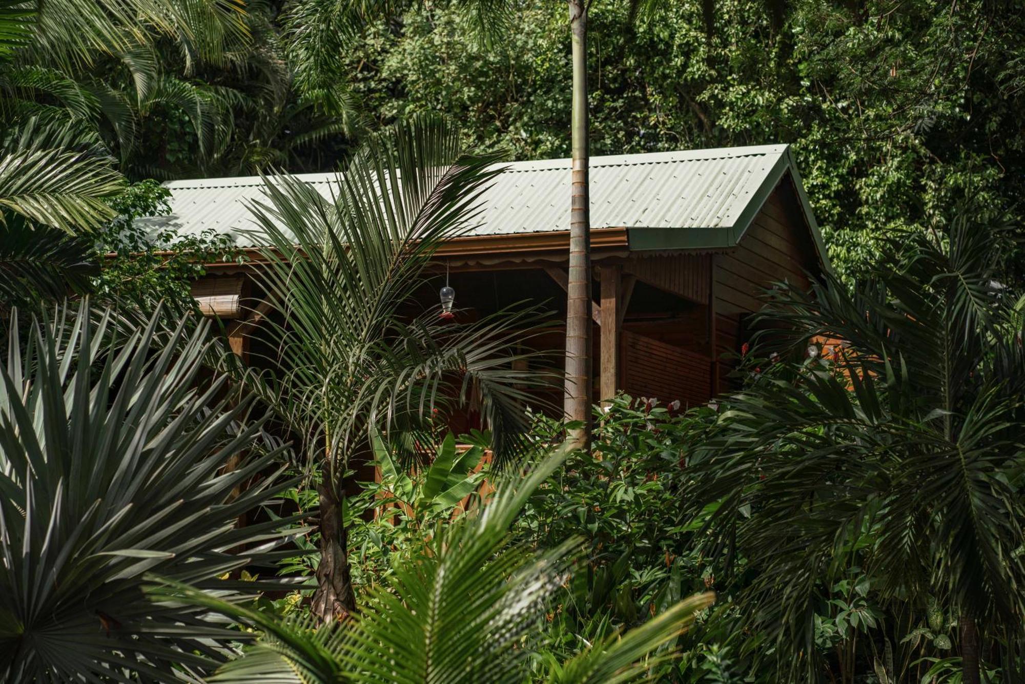 Au Jardin Des Colibris Ecolodge&Spa เดเอ ภายนอก รูปภาพ